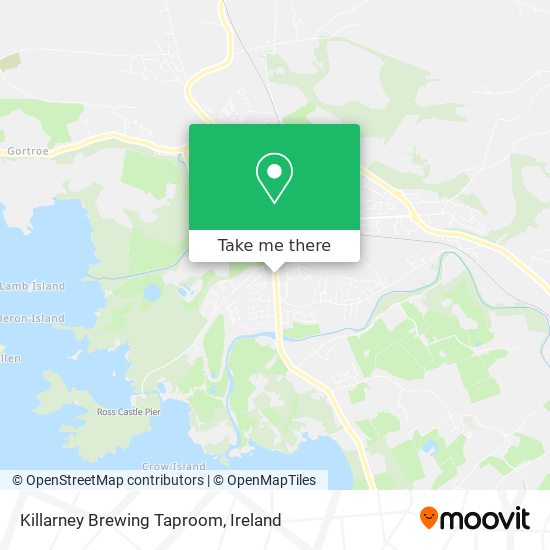 Killarney Brewing Taproom plan