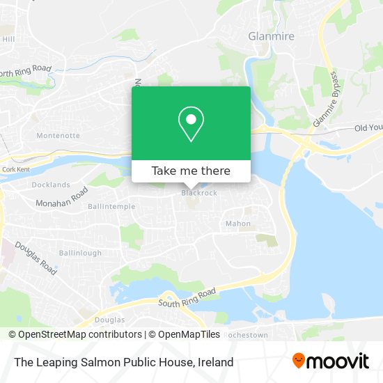 The Leaping Salmon Public House map