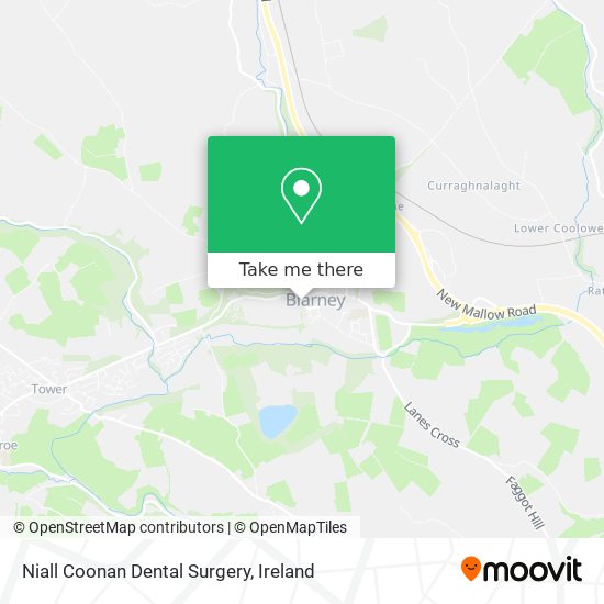 Niall Coonan Dental Surgery plan