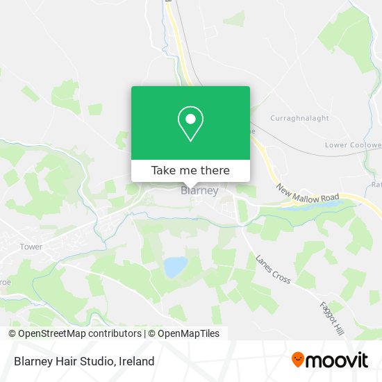 Blarney Hair Studio plan