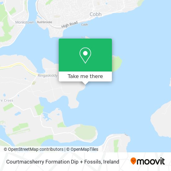 Courtmacsherry Formation Dip + Fossils map