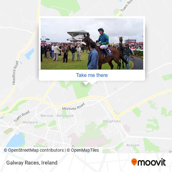 Galway Races plan