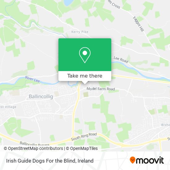 Irish Guide Dogs For the Blind map