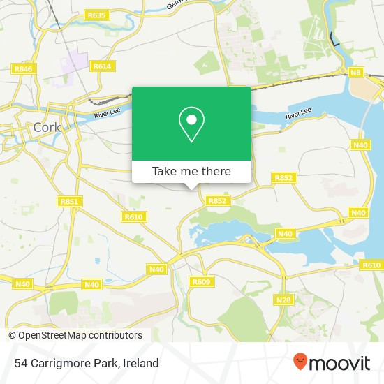 54 Carrigmore Park map