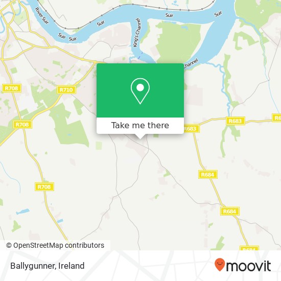 Ballygunner map