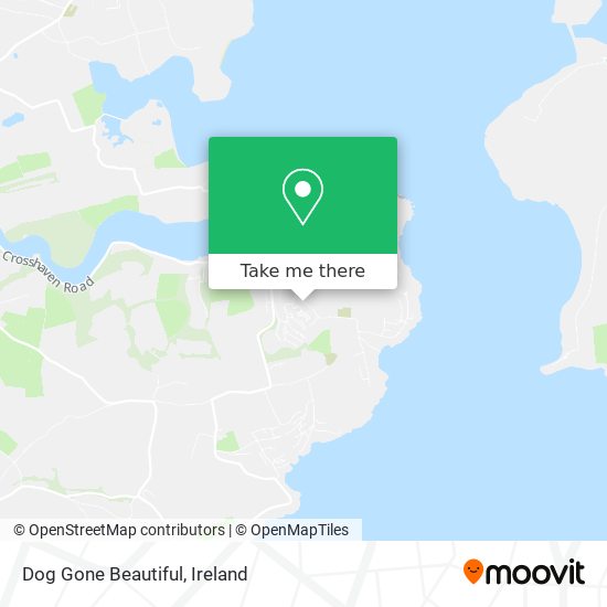 Dog Gone Beautiful map