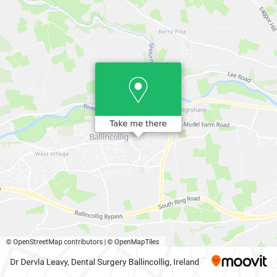 Dr Dervla Leavy, Dental Surgery Ballincollig plan