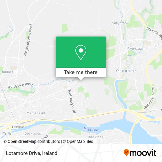 Lotamore Drive map