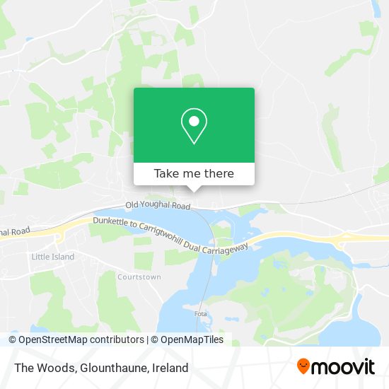 The Woods, Glounthaune map