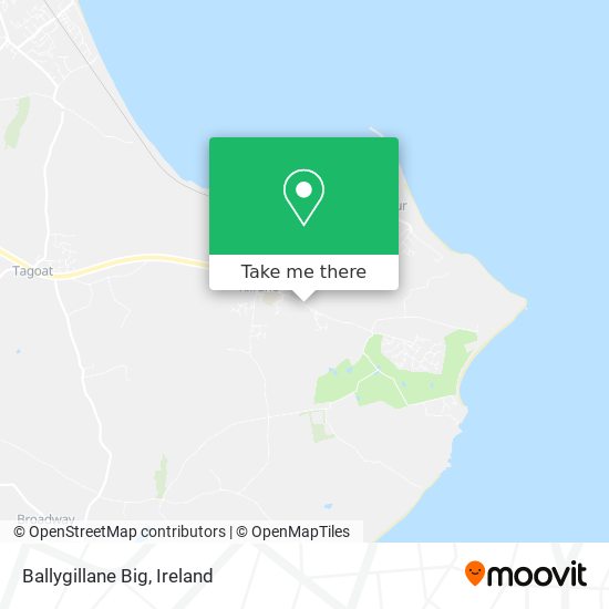 Ballygillane Big map