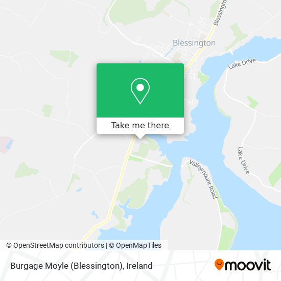 Burgage Moyle (Blessington) map