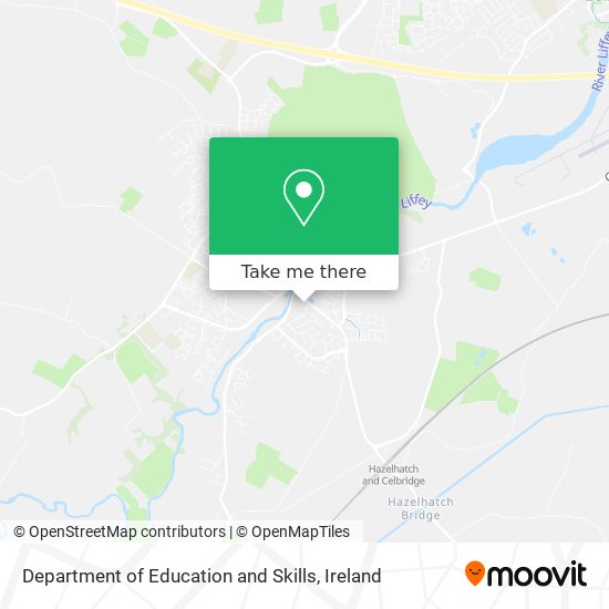 Department of Education and Skills plan