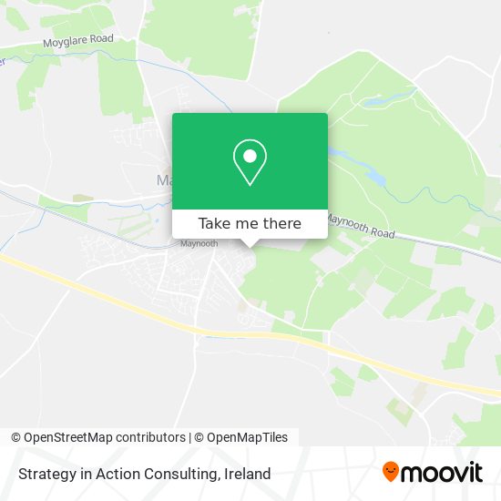 Strategy in Action Consulting plan