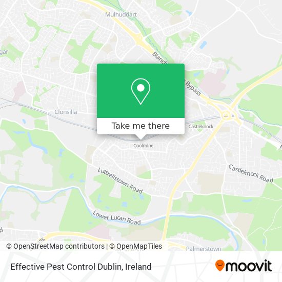 Effective Pest Control Dublin plan