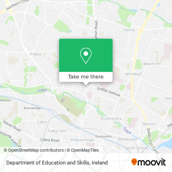 Department of Education and Skills plan