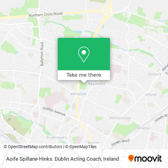 Aoife Spillane-Hinks: Dublin Acting Coach map