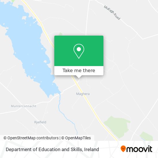 Department of Education and Skills plan