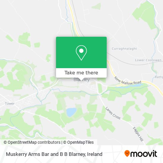 Muskerry Arms Bar and B B Blarney map