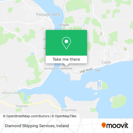 Diamond Shipping Services plan