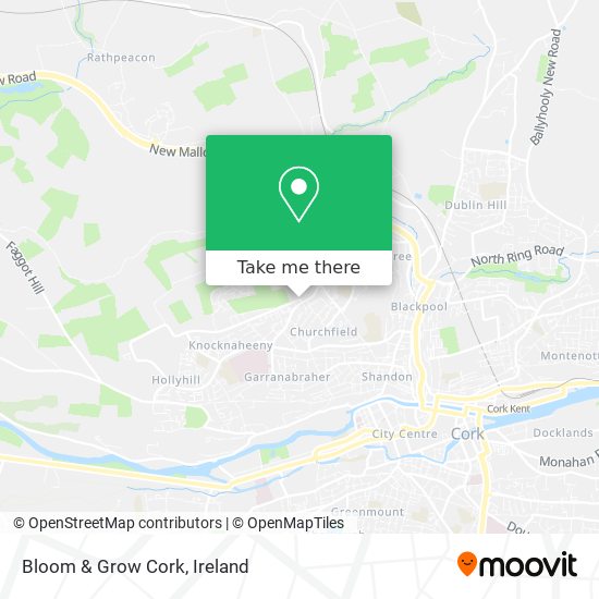 Bloom & Grow Cork map