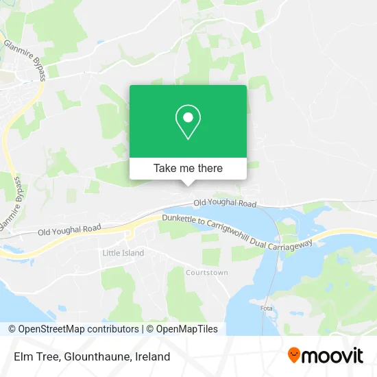 Elm Tree, Glounthaune map