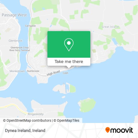 Dynea Ireland map