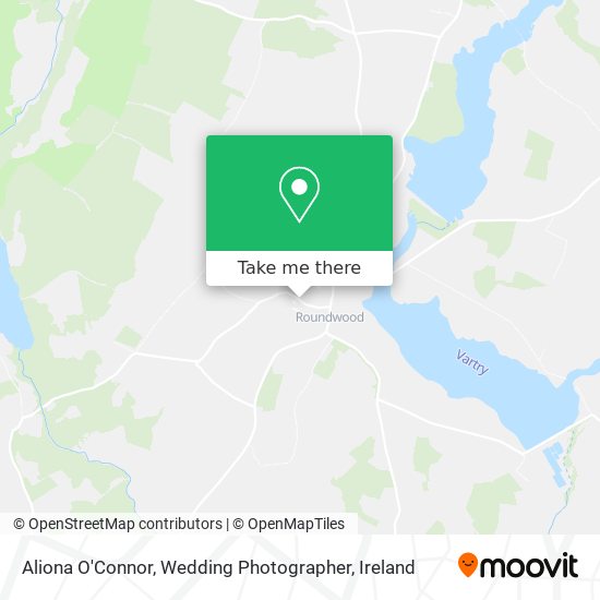 Aliona O'Connor, Wedding Photographer plan