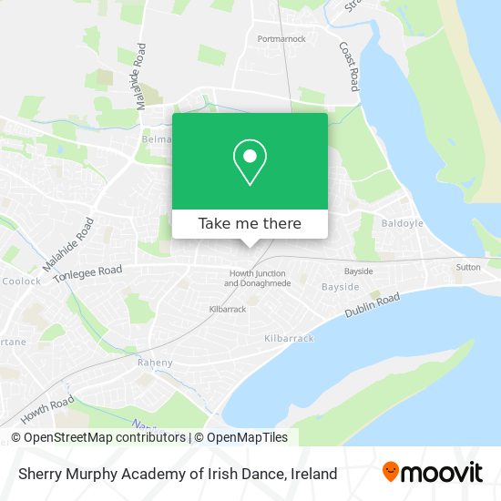 Sherry Murphy Academy of Irish Dance plan