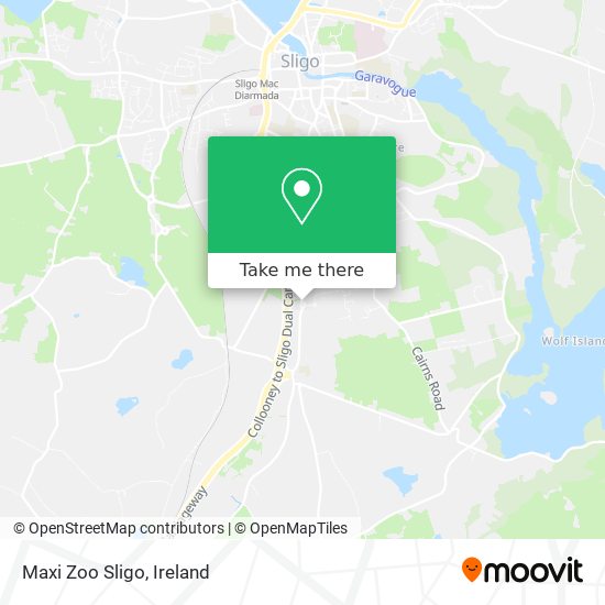 Maxi Zoo Sligo map