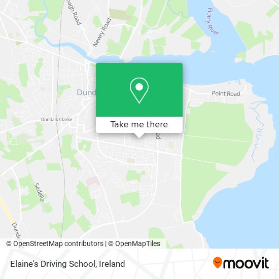 Elaine's Driving School plan