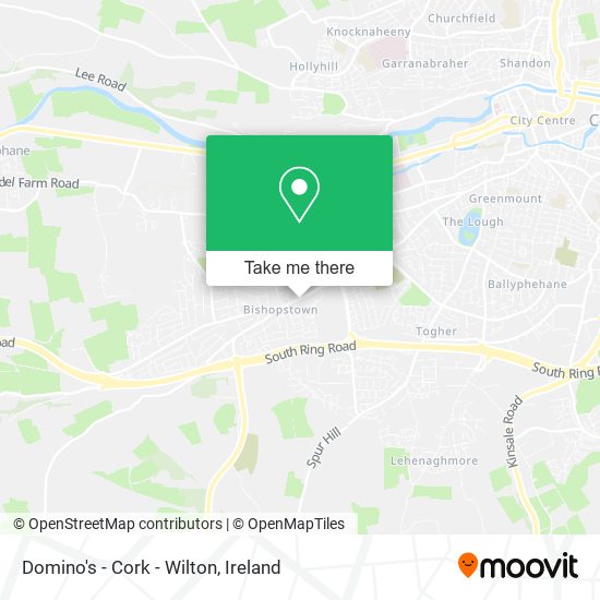 Domino's - Cork - Wilton map