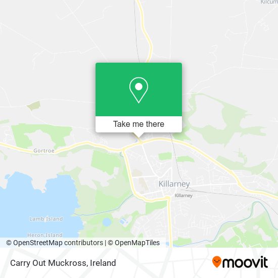 Carry Out Muckross plan