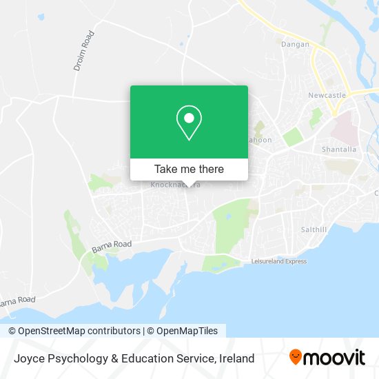 Joyce Psychology & Education Service plan