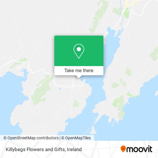 Killybegs Flowers and Gifts plan