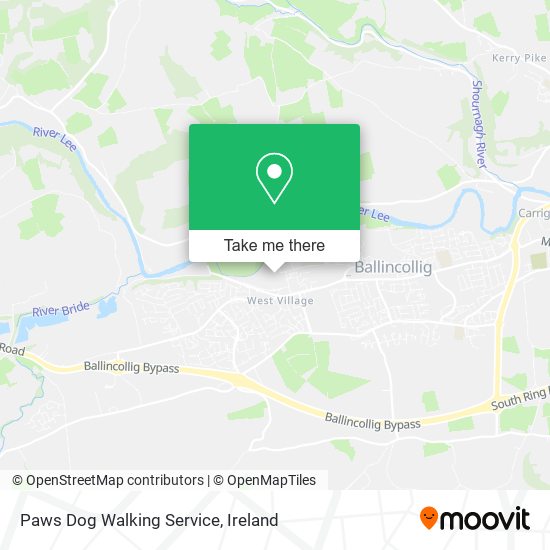 Paws Dog Walking Service plan