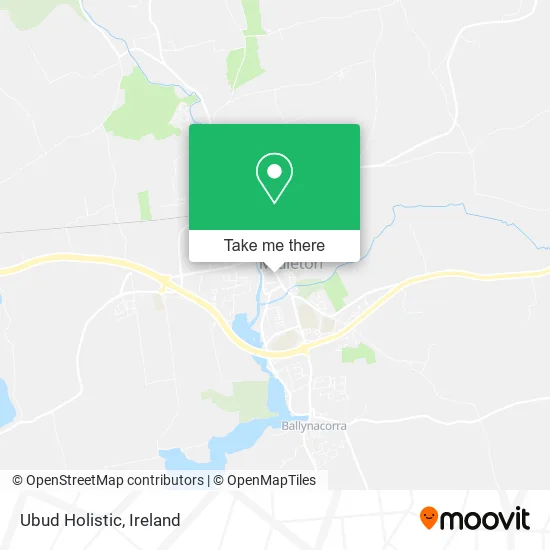 Ubud Holistic map