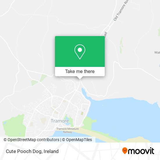 Cute Pooch Dog map