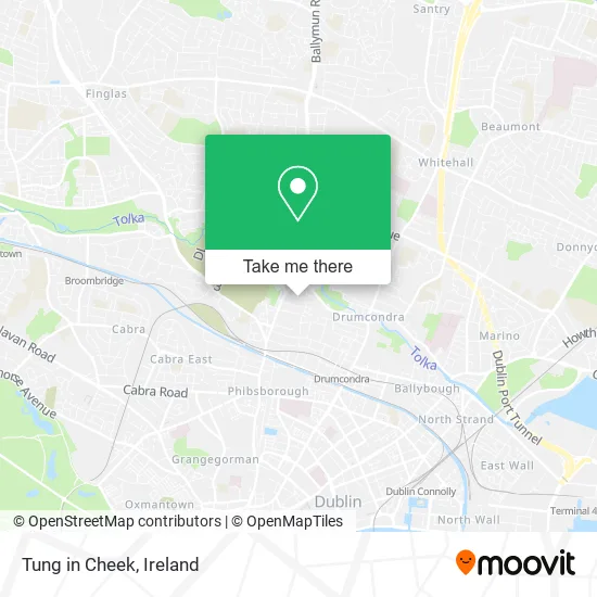 Tung in Cheek map