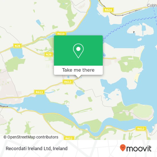 Recordati Ireland Ltd map
