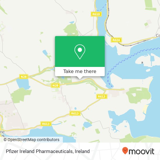 Pfizer Ireland Pharmaceuticals map
