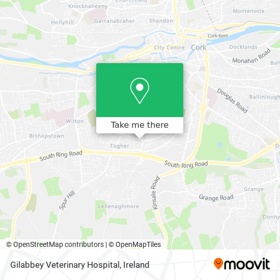 Gilabbey Veterinary Hospital map