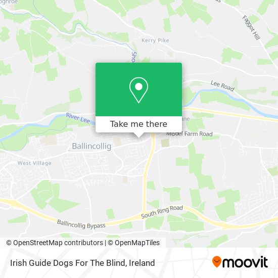 Irish Guide Dogs For The Blind map