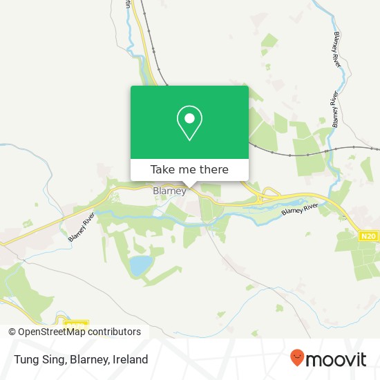 Tung Sing, Blarney plan