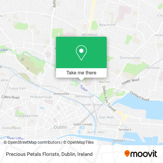 Precious Petals Florists, Dublin map