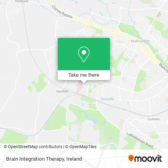 Brain Integration Therapy map