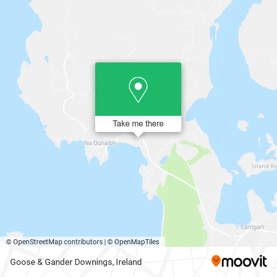 Goose & Gander Downings map