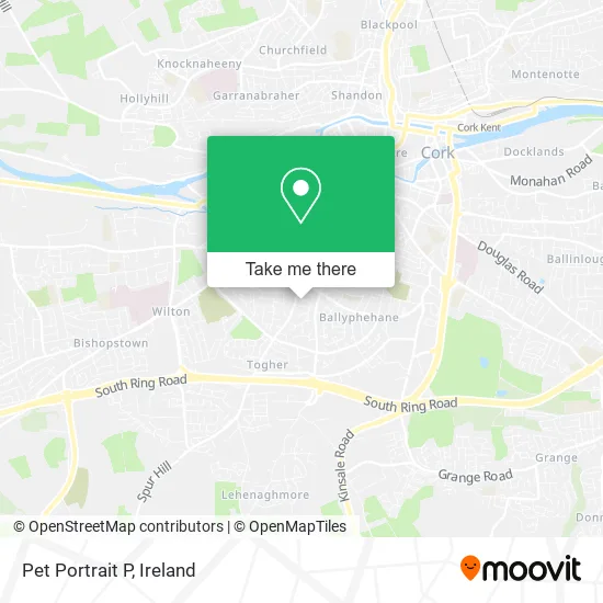Pet Portrait P map