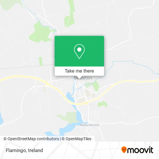 Flamingo map
