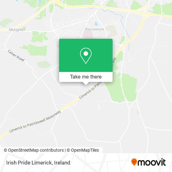 Irish Pride Limerick plan