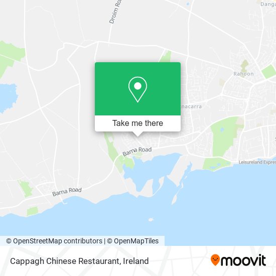 Cappagh Chinese Restaurant plan